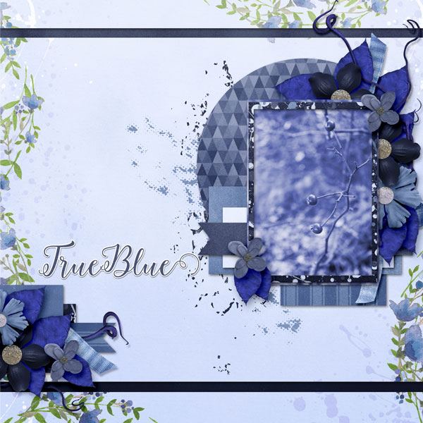 Blueberry Crush