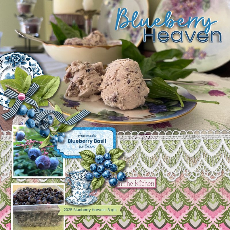 Blueberry Heaven.jpg