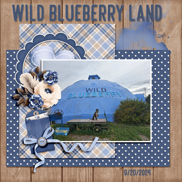 Blueberry Land
