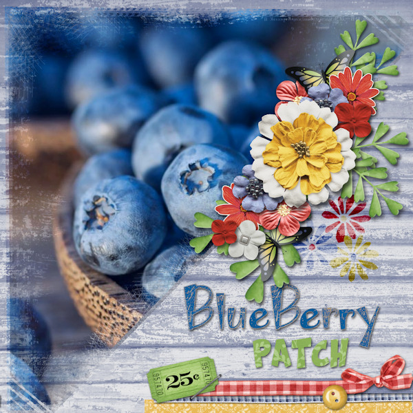 Blueberry Patch