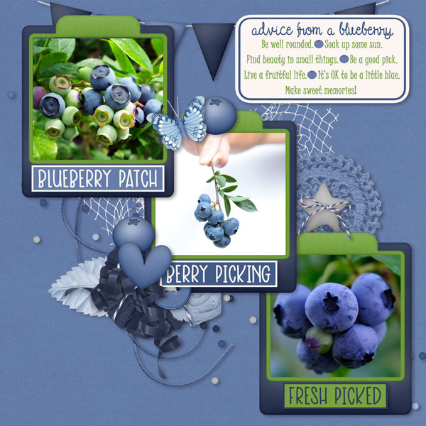 Blueberry Patch