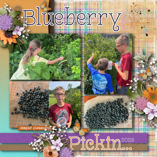 Blueberry Pickin