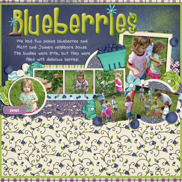 Blueberry Picking - 2009