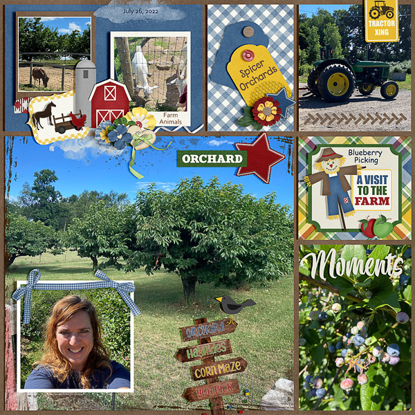 Blueberry Picking at the Orchard