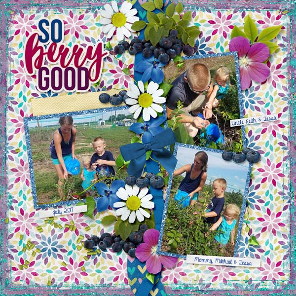 Blueberry picking