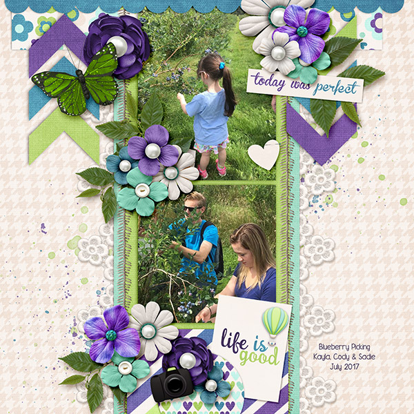 Blueberry Picking