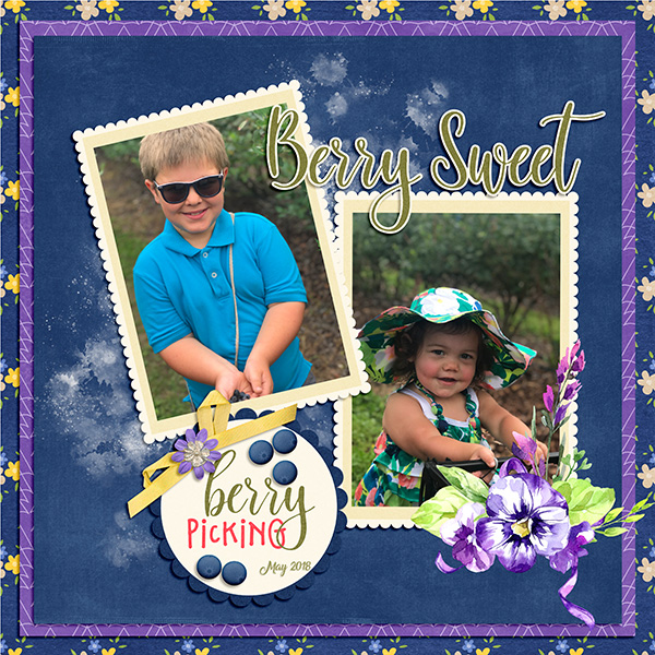 Blueberry Picking