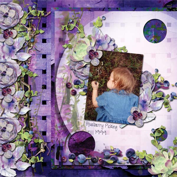 Blueberry Picking