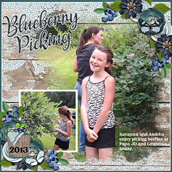 Blueberry picking
