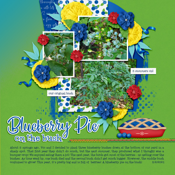 Blueberry Pie on the Bush
