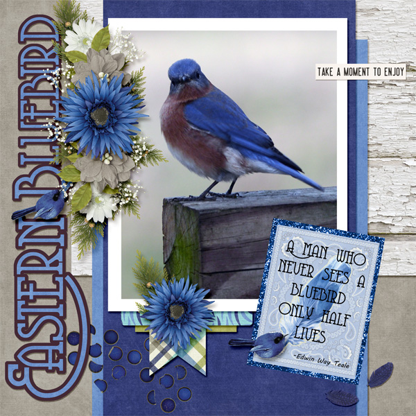 Bluebird