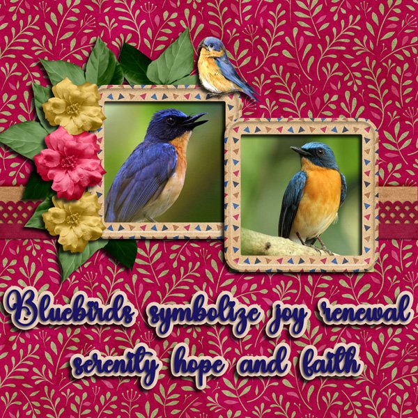 Bluebirds