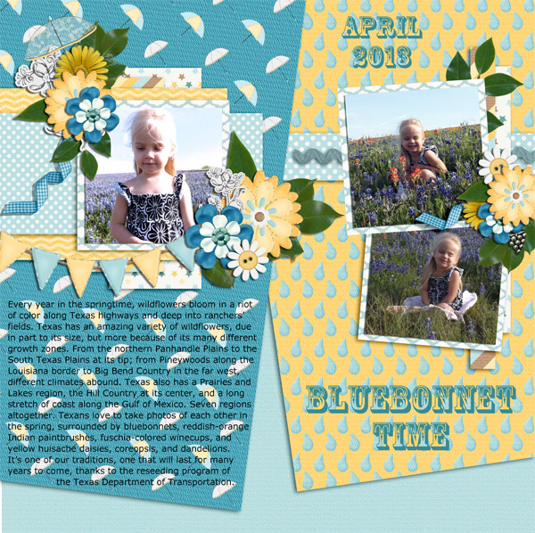 Bluebonnet Time