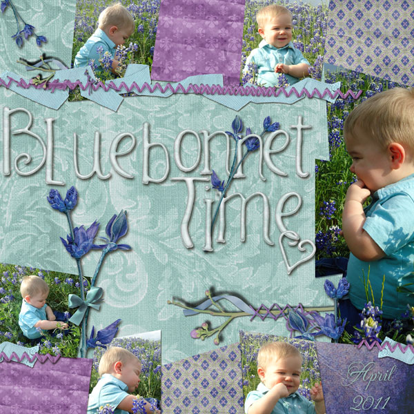 Bluebonnet Time