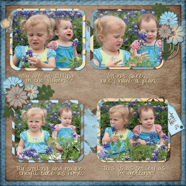 Bluebonnets