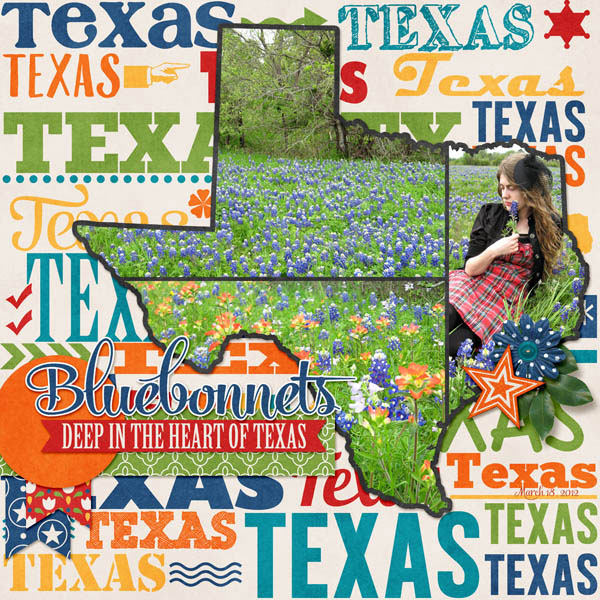 Bluebonnets