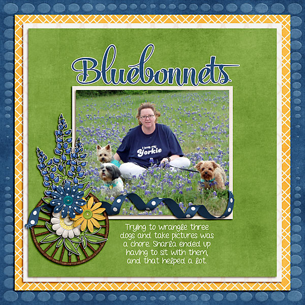 Bluebonnets