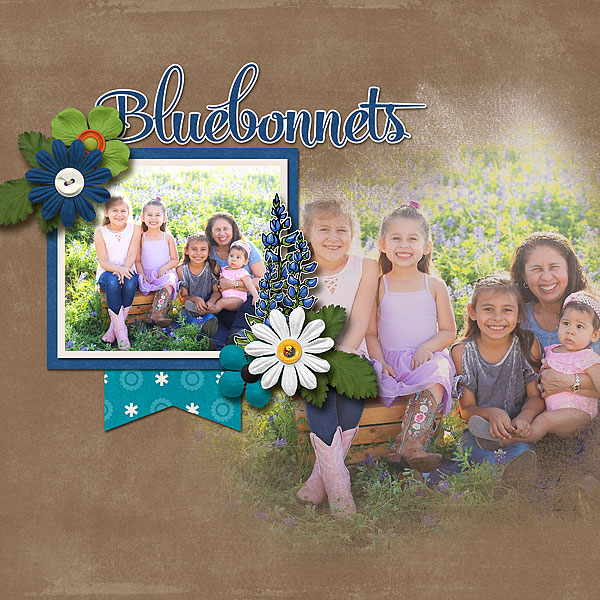 Bluebonnets