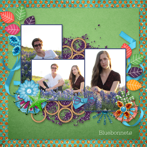 Bluebonnets
