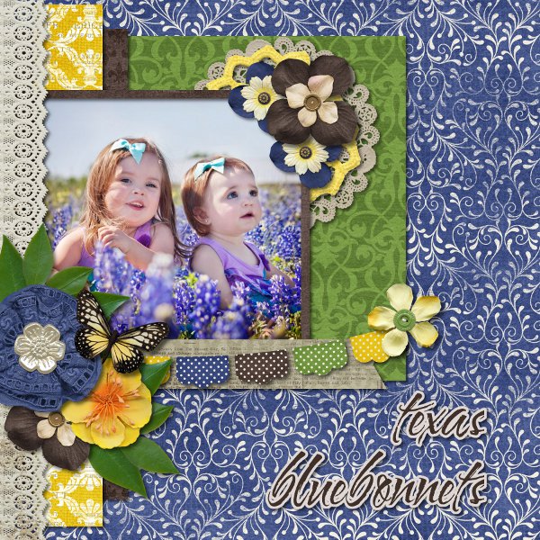 bluebonnets