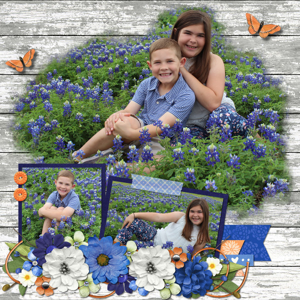bluebonnets2