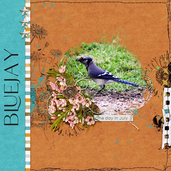 Bluejay-Mask.jpg