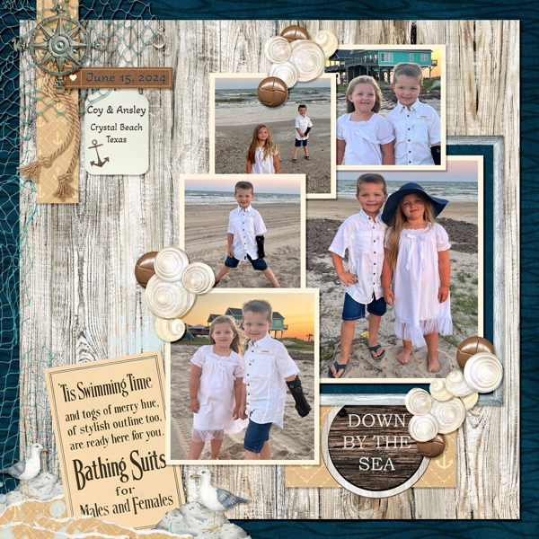 Boardwalk Beach from Designs by Connie Prince