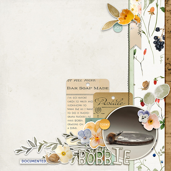Bobbie the Snail
