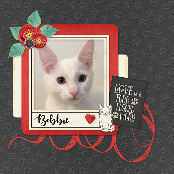Bobbie