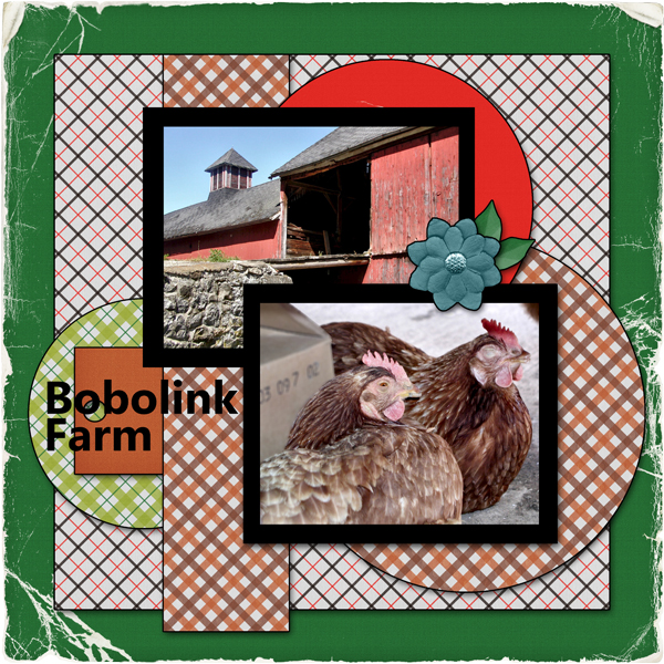 Bobolink Farm