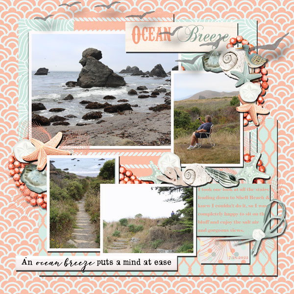 Bodega Bay 2