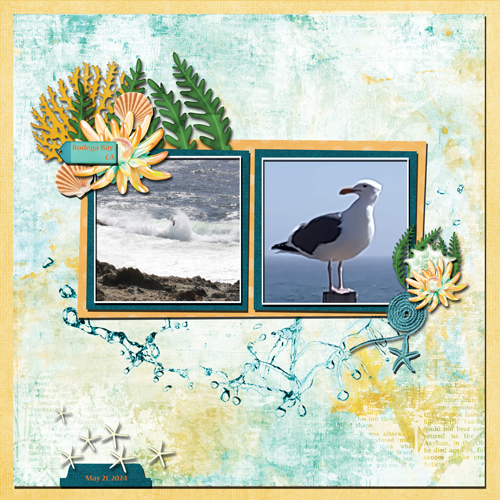 Bodega Bay 2