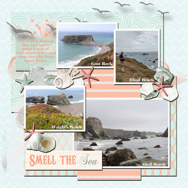 Bodega Bay