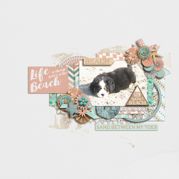 Boho Beach