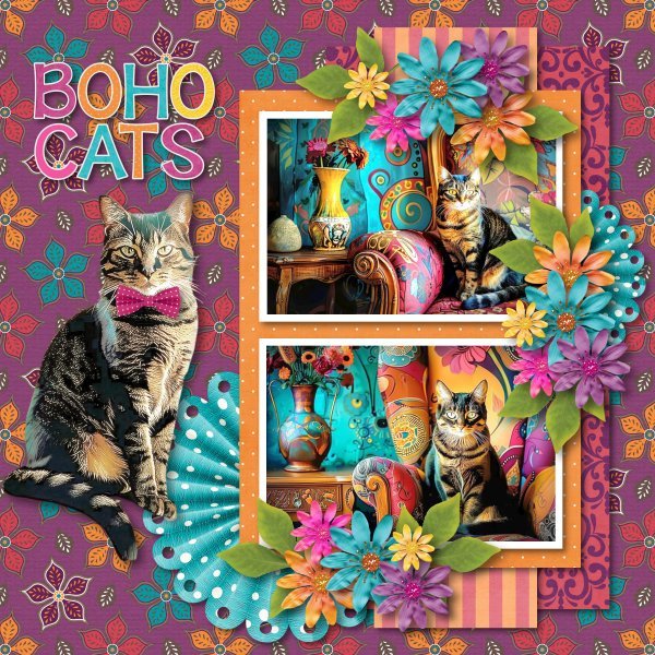boho cats2.jpg