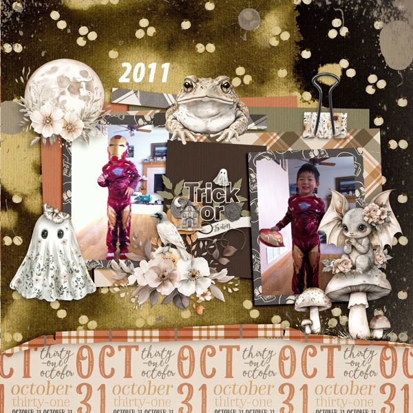 Boho-Halloween and PicturePerfect270