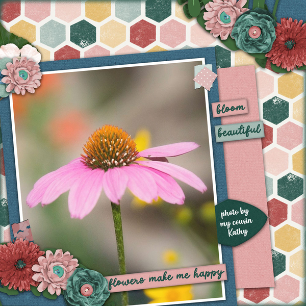 BOLD BOTANICAL
