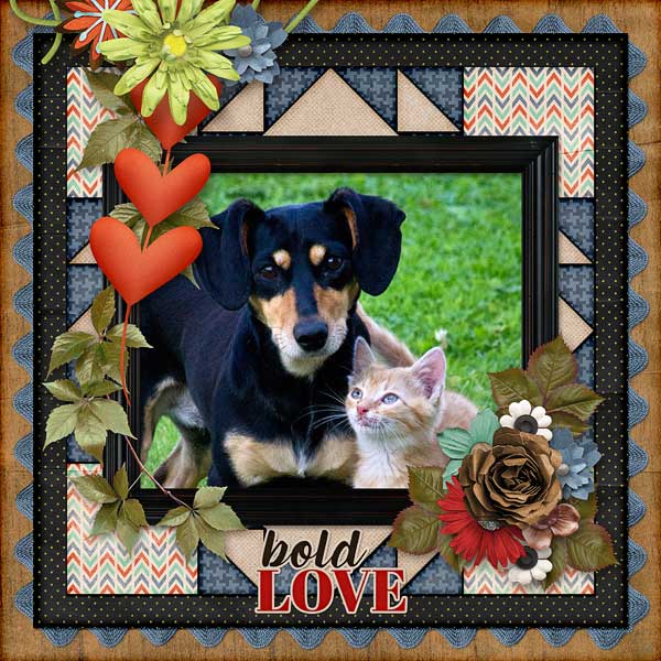 Bold Love