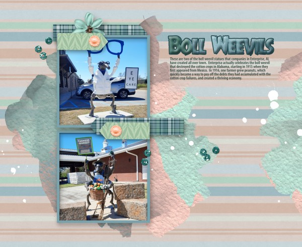 Boll Weevils