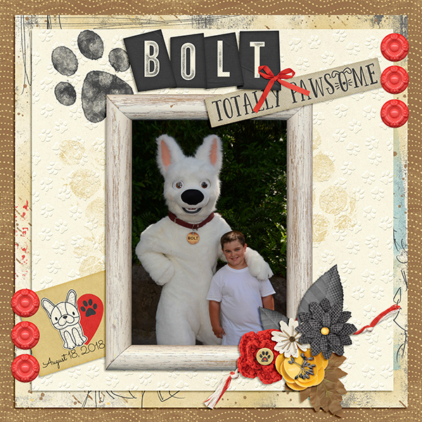 Bolt
