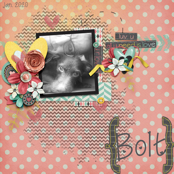 Bolt