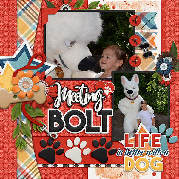 Bolt
