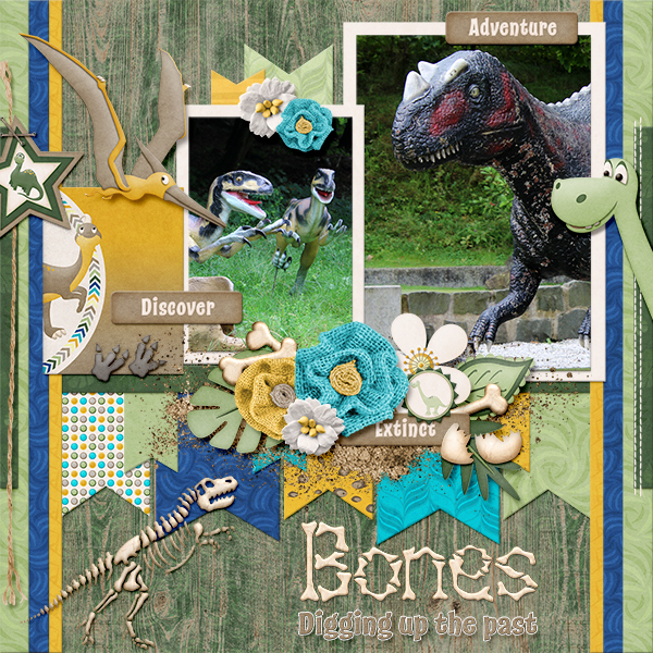 Bones