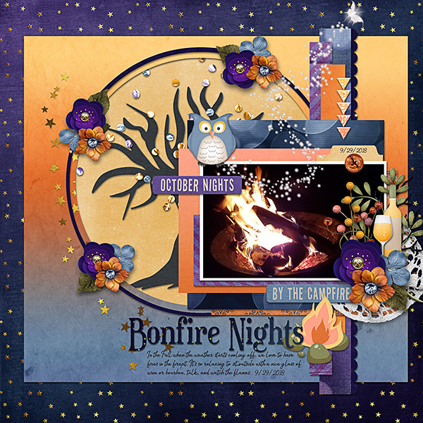 Bonfire Nights