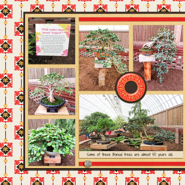 Bonsai at Phipps, left side