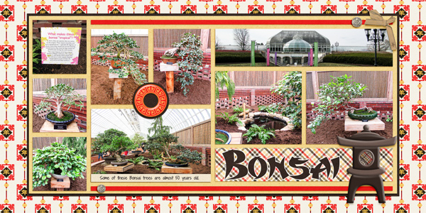 Bonsai at Phipps