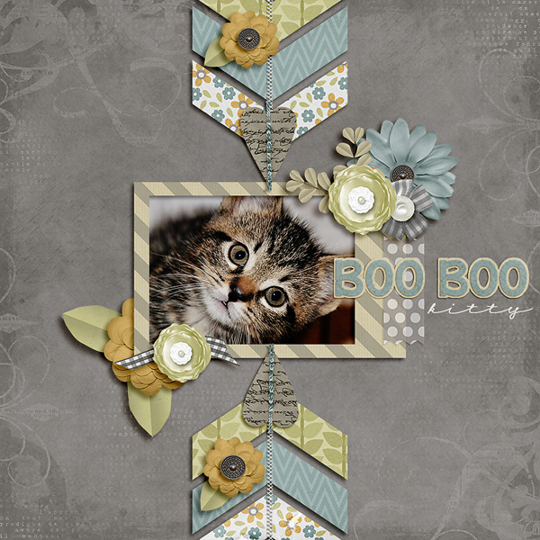 boo boo kitty