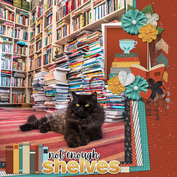 book kitty