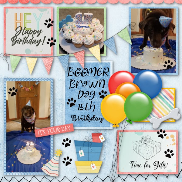 Boomer's 15th