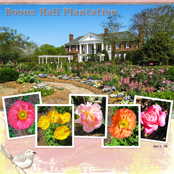 Boone Hall Plantation